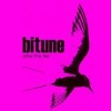 Bitune - After The Fire: Album-Cover