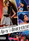 Amy Winehouse - I Told You I Was Trouble: Album-Cover