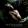 Heather Nova - The Jasmine Flower: Album-Cover
