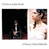 PJ Harvey & John Parish - A Woman A Man Walked By