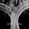 Raz Ohara And The Odd Orchestra - II: Album-Cover