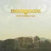 Phosphorescent - Here's To Taking It Easy: Album-Cover
