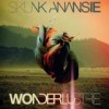 Skunk Anansie - Wonderlustre: Album-Cover