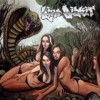 Limp Bizkit - Gold Cobra: Album-Cover