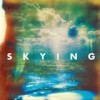 The Horrors - Skying: Album-Cover