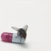 Red Hot Chili Peppers - I'm With You: Album-Cover