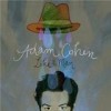 Adam Cohen - Like A Man
