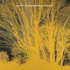 Nada Surf - The Stars Are Indifferent To Astronomy: Album-Cover