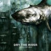 Dry The River - Shallow Bed: Album-Cover