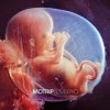 MoTrip - Embryo: Album-Cover