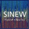 Sinew - Pilots Of A New Sky: Album-Cover