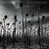 Dead Can Dance - Anastasis: Album-Cover