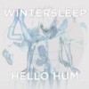 Wintersleep - Hello Hum: Album-Cover