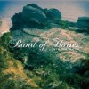 Band Of Horses - Mirage Rock: Album-Cover