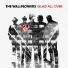 The Wallflowers - Glad All Over: Album-Cover