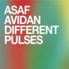 Asaf Avidan - Different Pulses: Album-Cover