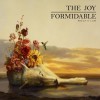 The Joy Formidable - Wolf's Law: Album-Cover
