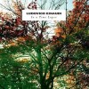 Ludovico Einaudi - In A Time Lapse: Album-Cover