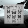 Christian Löffler - Young Alaska: Album-Cover