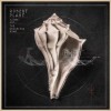Robert Plant - Lullaby And ... The Ceaseless Roar: Album-Cover