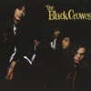 The Black Crowes - Shake Your Money Maker: Album-Cover