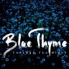 Blue Thyme - Through The Night: Album-Cover