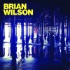 Brian Wilson - No Pier Pressure