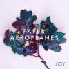 Paper Aeroplanes - Joy: Album-Cover