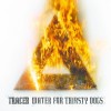 Tracer - Water For Thirsty Dogs: Album-Cover