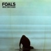 Foals - What Went Down: Album-Cover