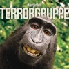 Terrorgruppe - Tiergarten: Album-Cover