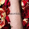Drangsal - Harieschaim: Album-Cover