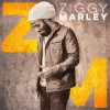 Ziggy Marley - Ziggy Marley: Album-Cover
