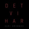 Kari Bremnes - Det Vi Har: Album-Cover