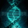Disturbed - Evolution: Album-Cover
