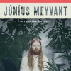 Júníus Meyvant - Across The Borders: Album-Cover