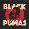 Black Pumas - Black Pumas: Album-Cover