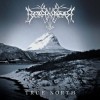 Borknagar - True North: Album-Cover