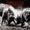 Gotthard - #13: Album-Cover