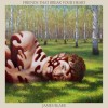 James Blake - Friends That Break Your Heart: Album-Cover