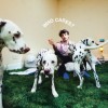 Rex Orange County - Who Cares?: Album-Cover