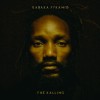 Kabaka Pyramid - The Kalling: Album-Cover