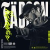 Fäbson - Visionär: Album-Cover
