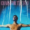 Grian Chatten - Chaos For The Fly: Album-Cover