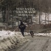 Noah Kahan - Stick Season (We'll All Be Here Forever): Album-Cover