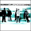 Blumentopf - Grosses Kino: Album-Cover