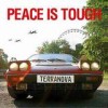 Terranova - Peace Is Tough: Album-Cover