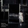 Martina Topley-Bird - Quixotic: Album-Cover