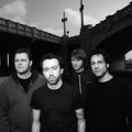 Rise Against - Tierschutzvideo zu hart für MTV