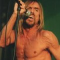 Iggy Pop - Penis-Träume im Rentenalter